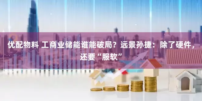 优配物料 工商业储能谁能破局？远景孙捷：除了硬件，还要“服软”