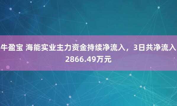 牛盈宝 海能实业主力资金持续净流入，3日共净流入2866.49万元