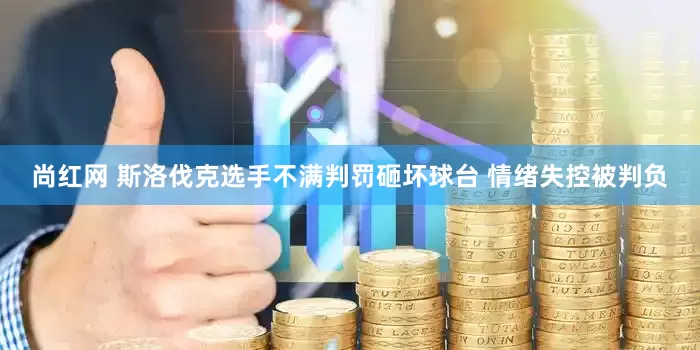 尚红网 斯洛伐克选手不满判罚砸坏球台 情绪失控被判负