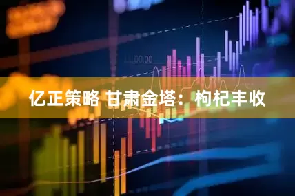 亿正策略 甘肃金塔：枸杞丰收