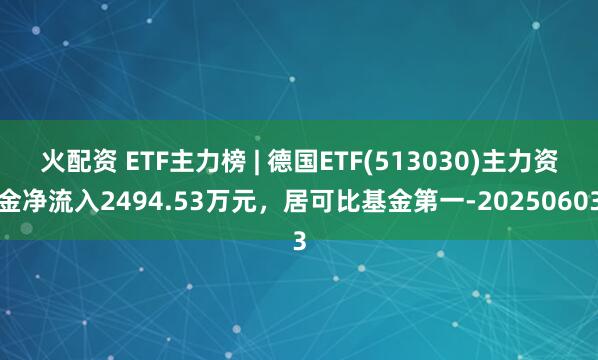 火配资 ETF主力榜 | 德国ETF(513030)主力资金净流入2494.53万元，居可比基金第一-20250603